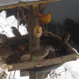 photo 2019-01-28 12-20-43