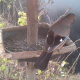 photo 2019-12-19 09-18-07