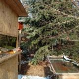 photo 2022-01-09 13-00-38