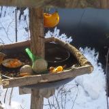 photo 2019-01-26 08-51-36