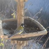 photo 2019-12-30 12-11-01