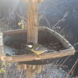 photo 2019-12-30 11-22-43