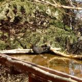 photo 2022-03-19 12-43-59 rigo