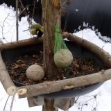 photo 2019-01-12 10-21-32