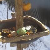 photo 2019-01-27 10-37-02