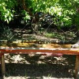 photo 2021-05-10 10-26-37