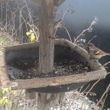 photo 2019-12-27 08-33-32