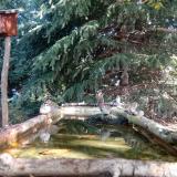 photo 2023-10-12 10-13-00