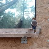 photo 2023-10-25 16-17-37 meggyvago