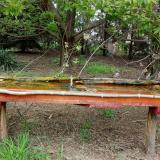 photo 2021-04-28 13-57-28