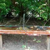 photo 2021-07-20 12-40-13