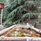 photo 2023-10-20 11-13-45