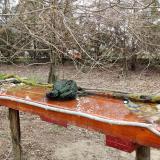 photo 2021-03-25 08-52-47