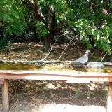 photo 2021-09-16 13-23-14