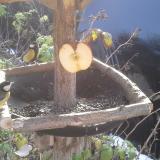 photo 2019-12-03 10-10-08