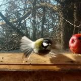 photo 2022-01-15 11-30-17 cinke