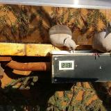 photo 2021-03-08 15-12-34