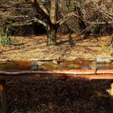 photo 2021-10-27 14-10-50