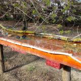 photo 2021-04-08 16-29-04