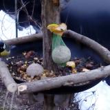 photo 2019-01-16 07-56-01