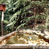 photo 2023-10-17 13-16-21