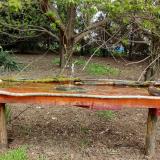 photo 2021-04-18 10-17-28