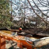 photo 2022-03-23 08-43-09