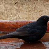 photo 2022-01-31 12-15-01-rigo