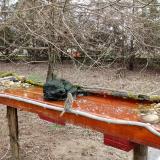 photo 2021-03-18 08-17-10