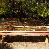 photo 2021-10-12 13-37-43