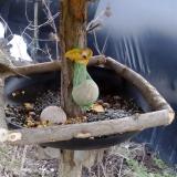 photo 2019-01-19 11-51-15