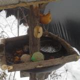 photo 2019-01-28 10-29-45