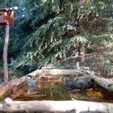 photo 2023-10-16 09-57-21