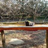 photo 2021-03-11 08-20-10