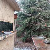 photo 2021-12-28 12-11-30