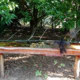 photo 2021-07-24 08-33-25