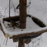 photo 2019-01-08 15-32-12