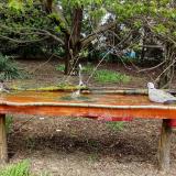 photo 2021-04-19 12-53-03