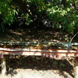 photo 2021-10-02 11-47-23