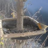 photo 2019-12-31 11-18-25