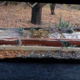 photo 2021-11-08 13-23-28