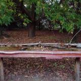 photo 2021-10-04 18-27-18