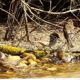 photo 2021-03-11 10-35-44 furdes