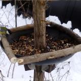 photo 2019-01-06 14-44-53