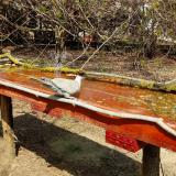 photo 2021-04-01 13-40-56