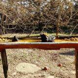 photo 2021-03-13 09-26-32