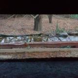 photo 2021-11-21 16-09-39