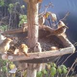 photo 2019-12-08 13-53-55