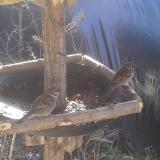 photo 2019-02-18 10-37-01