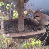 photo 2019-12-12 12-01-10